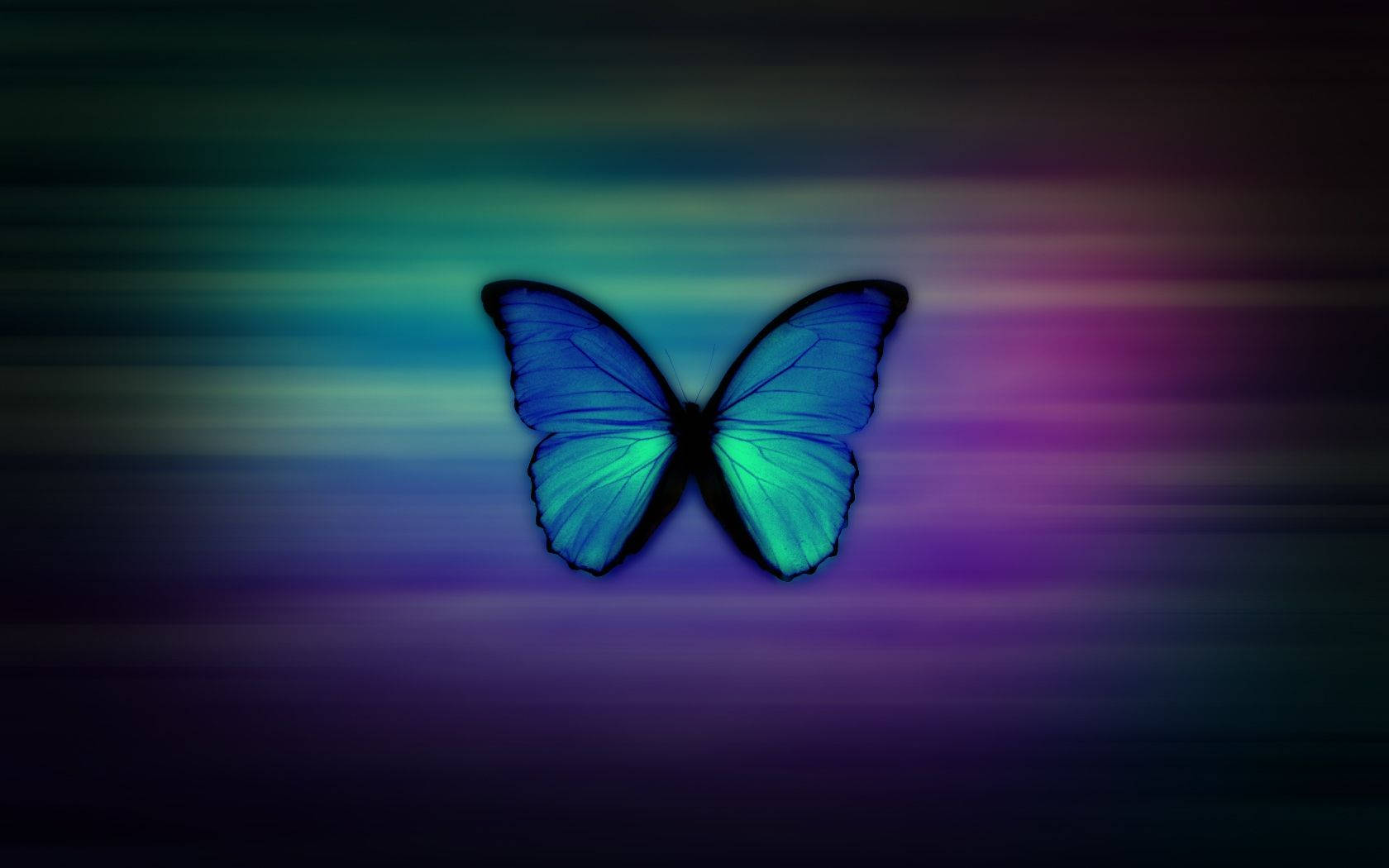 প্রকৃত নীল প্রজাপতি