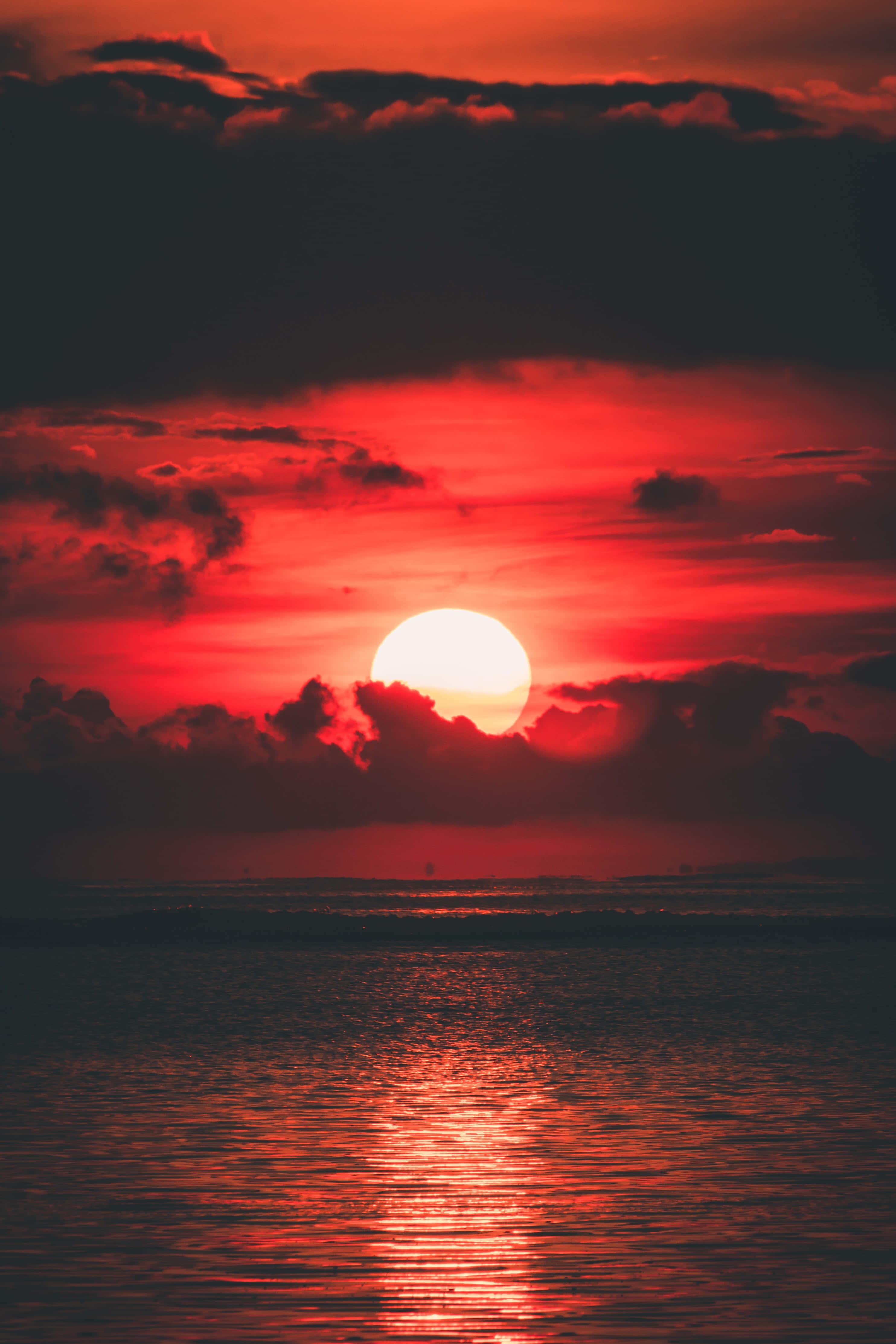 প্রকৃতির পটভূমি ওয়ালপেপার