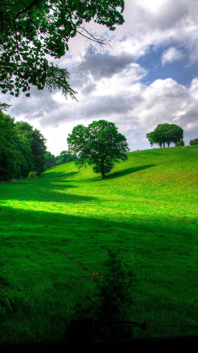 প্রকৃতির প্রতিকৃতি সবুজ পাহাড় ওয়ালপেপার