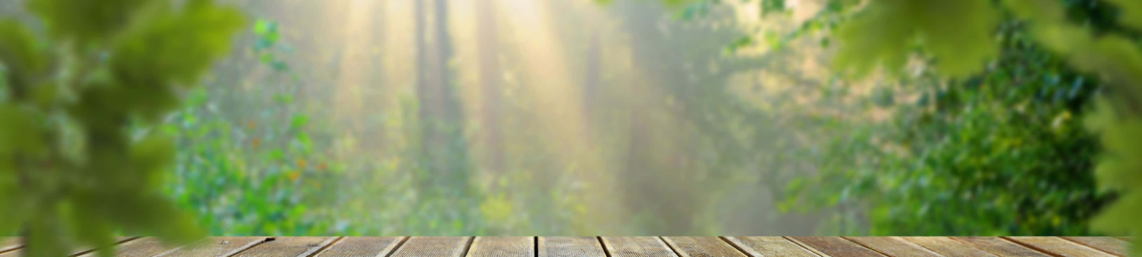 প্রকৃতির সৌন্দর্য উপভোগ করুন ওয়ালপেপার
