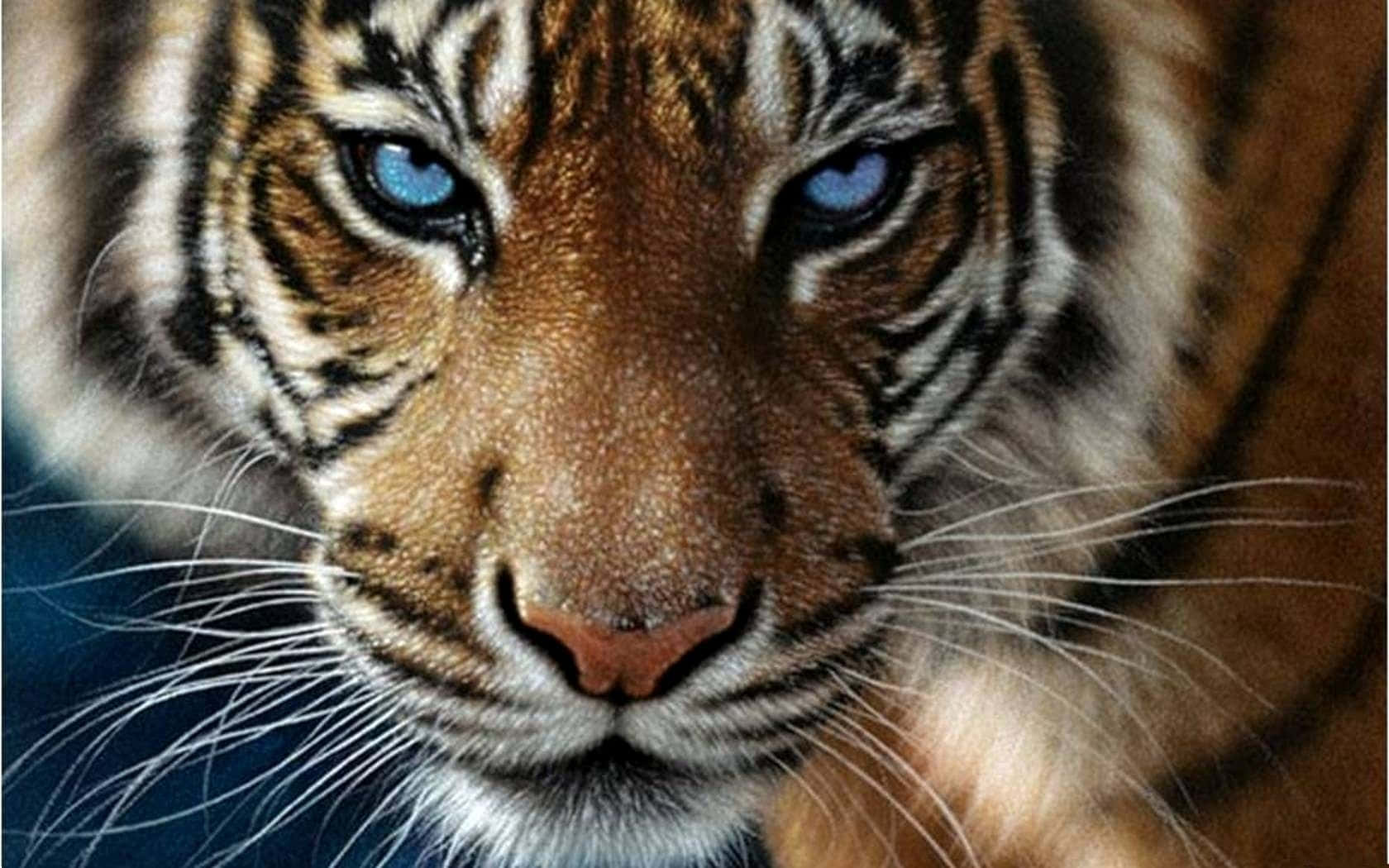 প্রাকৃতিক আবাসস্থলে রাজকীয় বন্য বাঘ ওয়ালপেপার