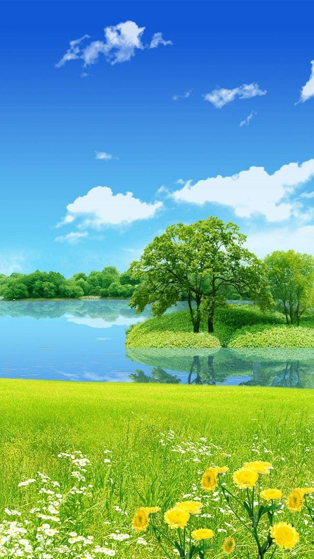 প্রাকৃতিক ফোন পুকুর দ্বীপ ওয়ালপেপার