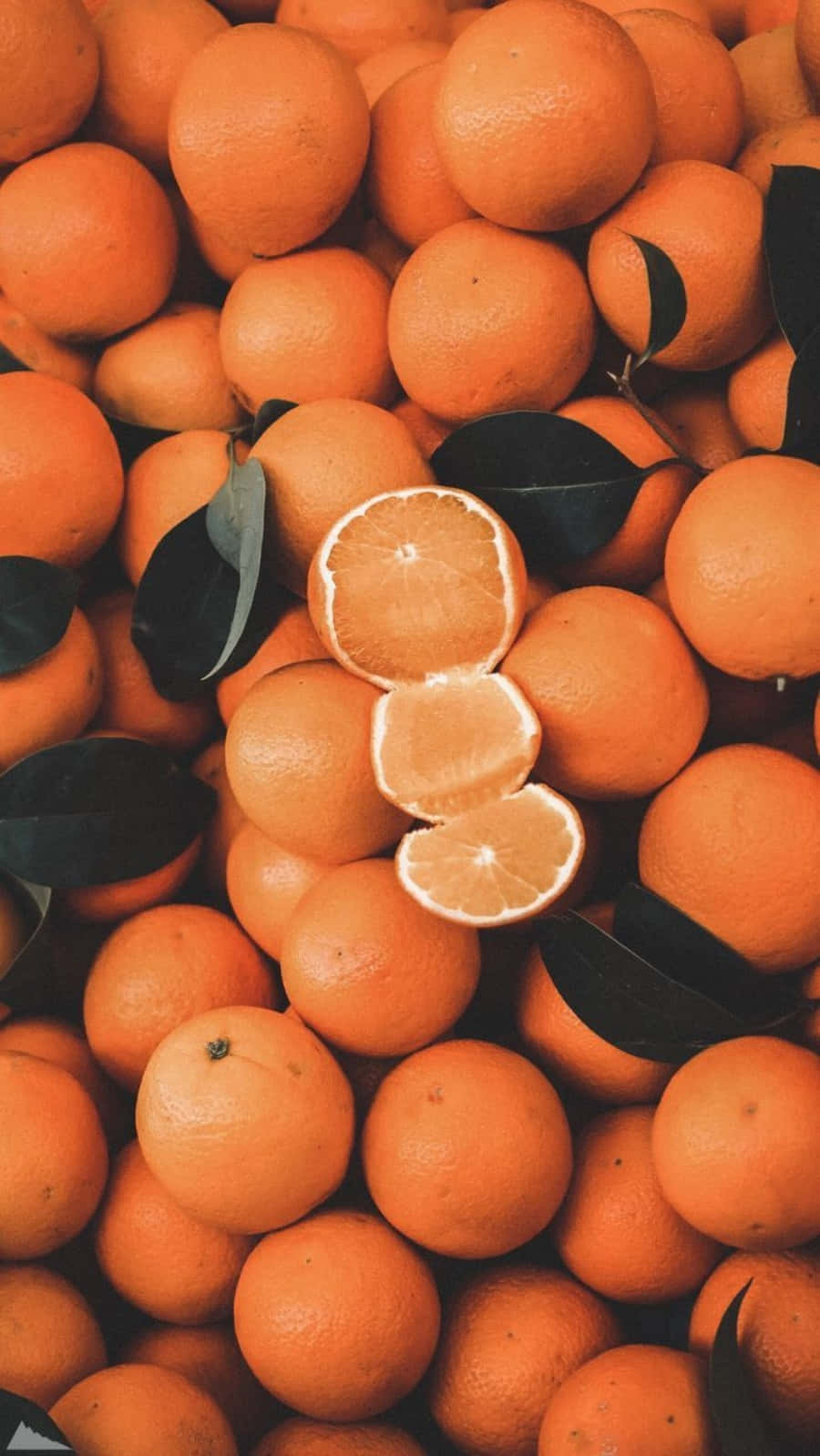 প্রাকৃতিক সৌন্দর্য অনেক রঙে আসে, কমলা 🍊 সহ ওয়ালপেপার