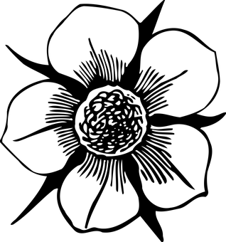 ফুলের কালো ব্যাকগ্রাউন্ড ওয়ালপেপার
