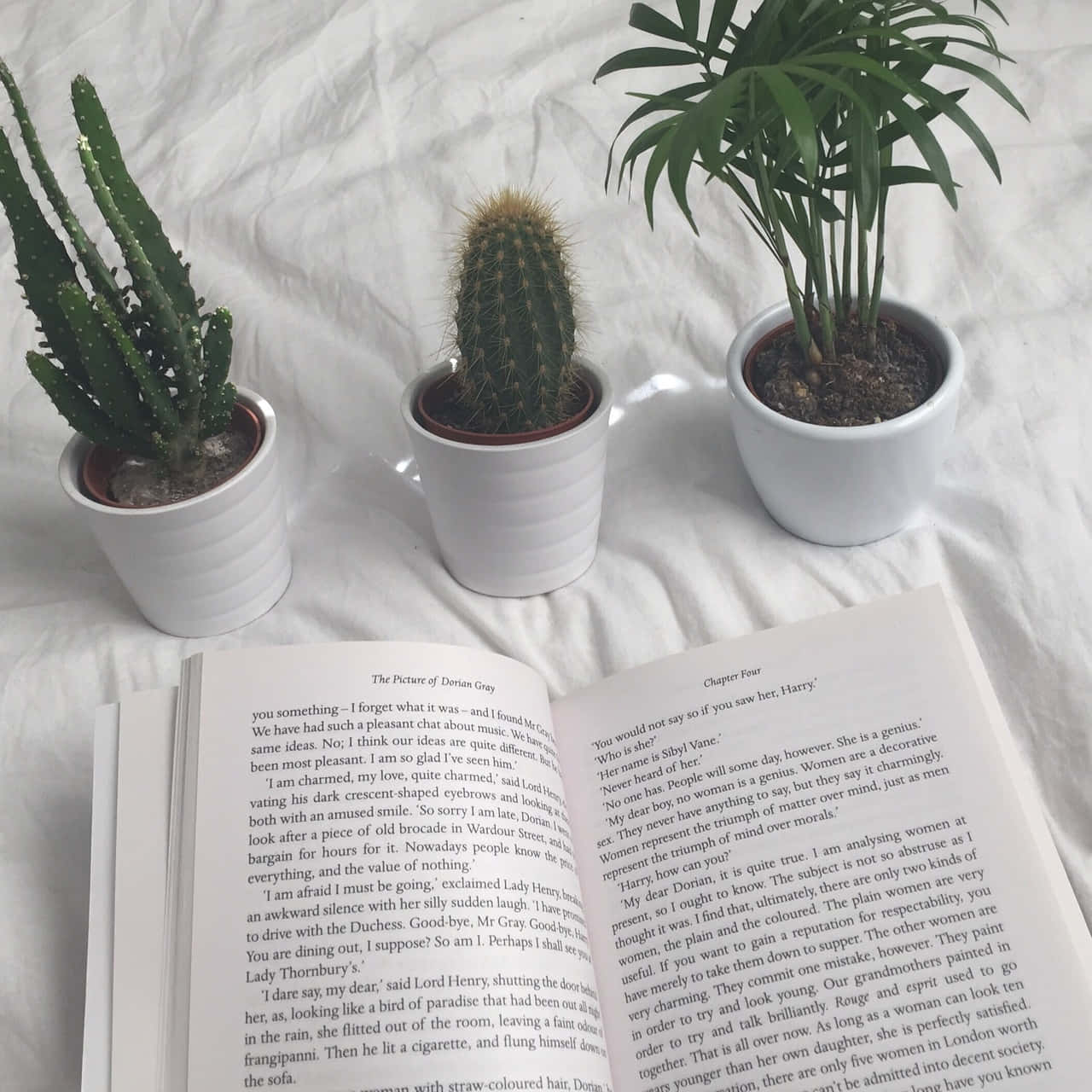 "বইয়ের জগৎ অন্বেষণ করুন! 📖" ওয়ালপেপার