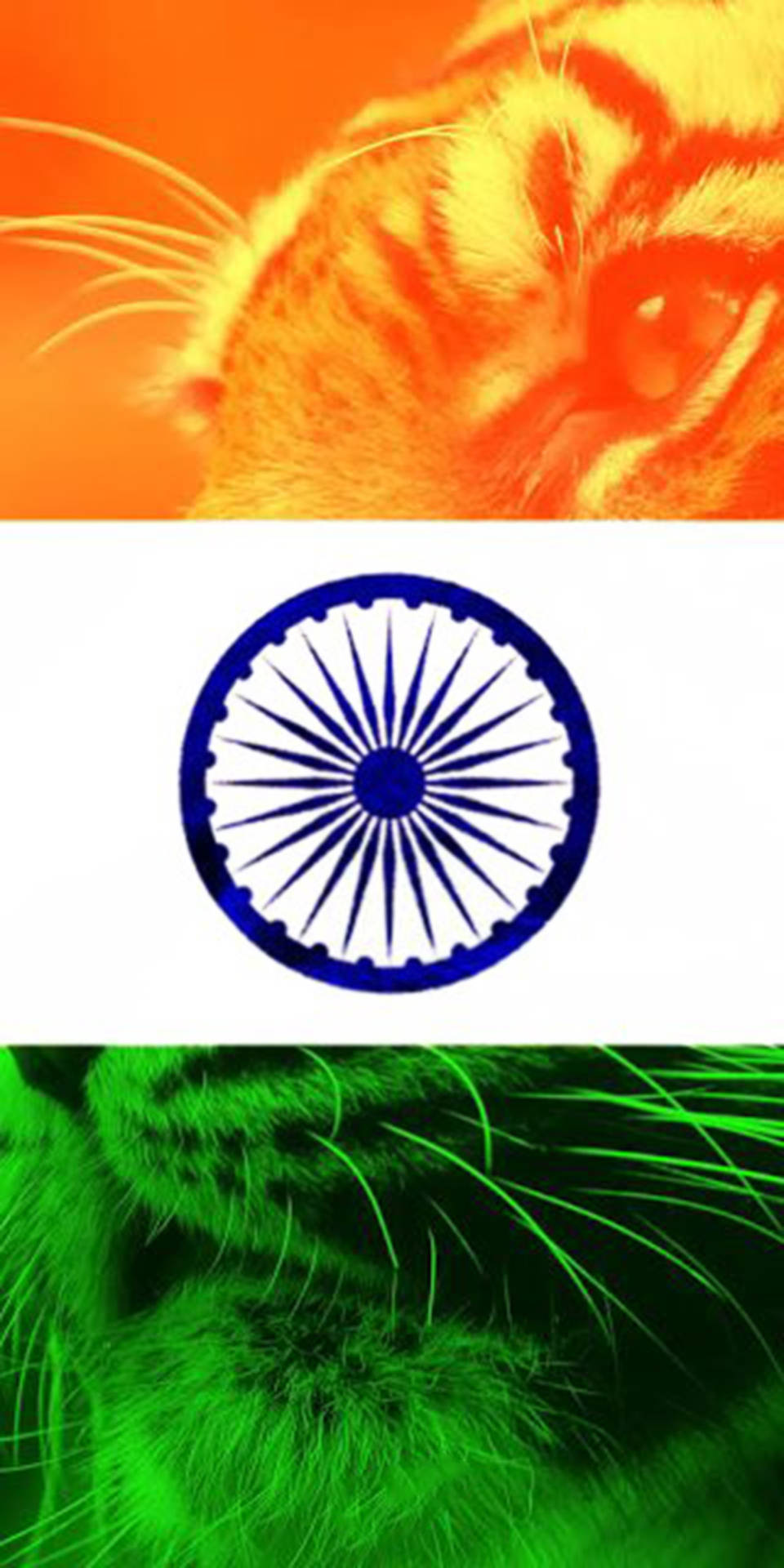 বাঘের সাথে ভারতীয় পতাকা মোবাইল — মোবাইল জিআইএফ ওয়ালপেপার