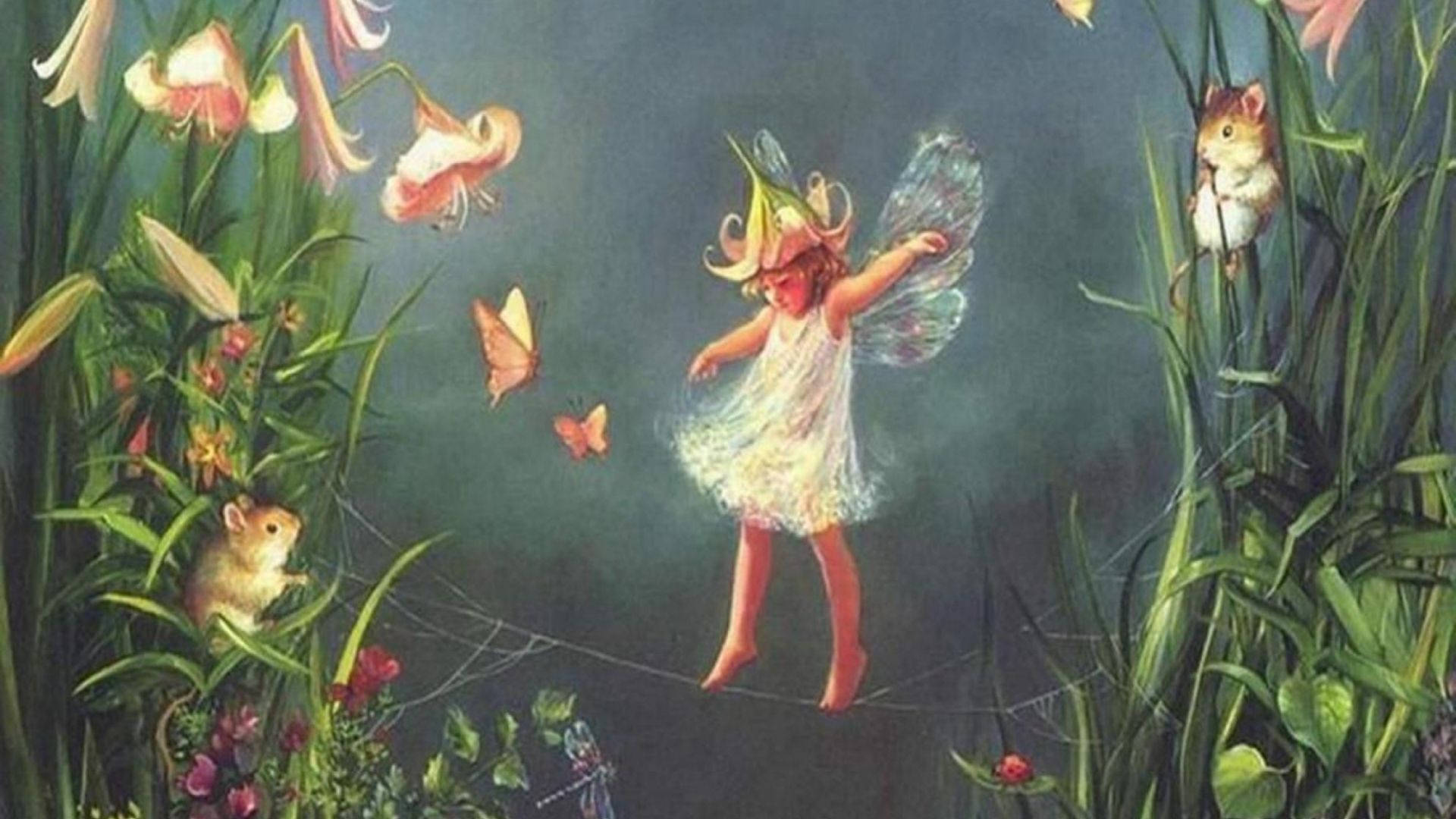 ভারসাম্য রক্ষাকারী পরী নান্দনিকতা ওয়ালপেপার