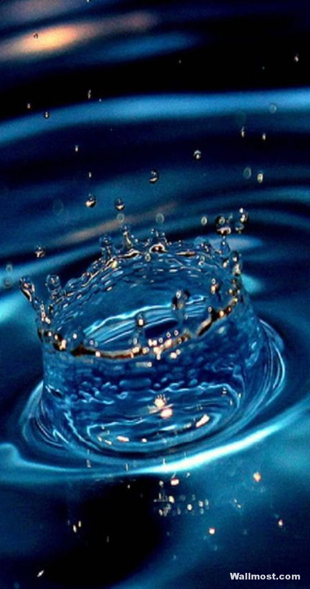 ভিভো ওয়াই১১ এর প্রাণবন্ত দৃশ্য ওয়ালপেপার
