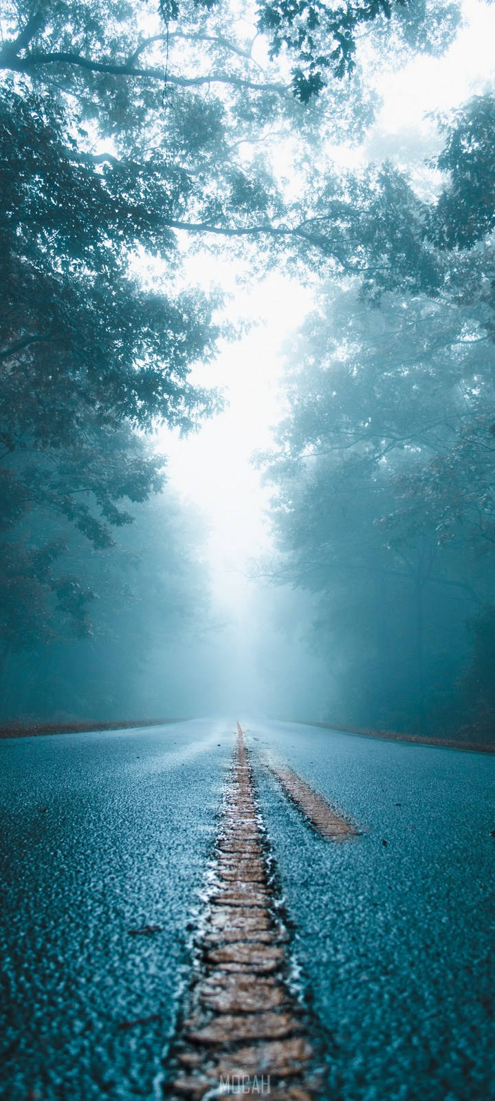ভিভো ওয়াই১১ কুয়াশাচ্ছন্ন রাস্তা ওয়ালপেপার