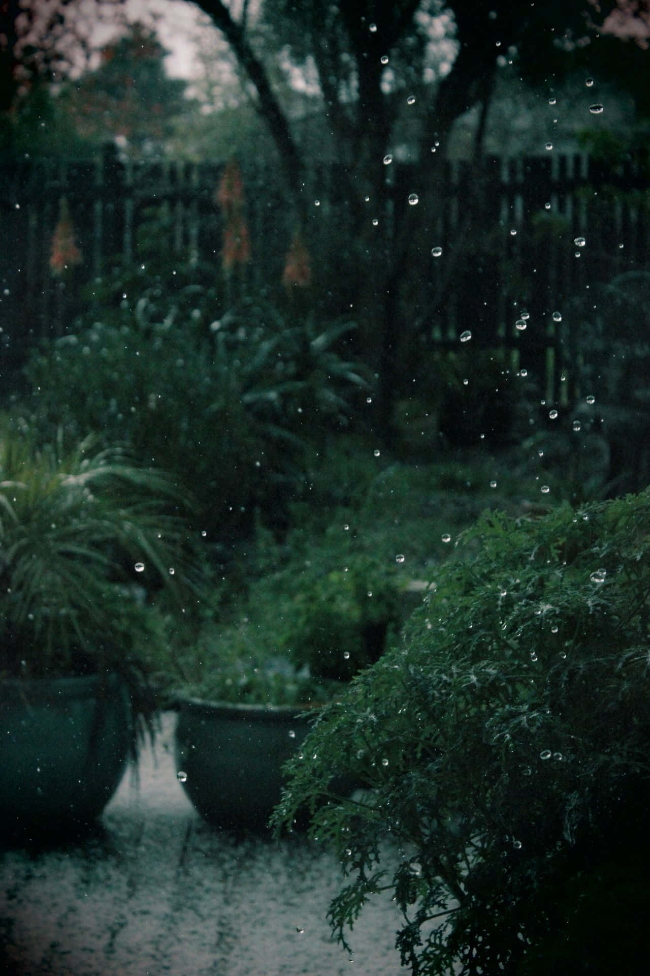 মোহনীয় গাঢ় সবুজ নান্দনিক পটভূমি ওয়ালপেপার