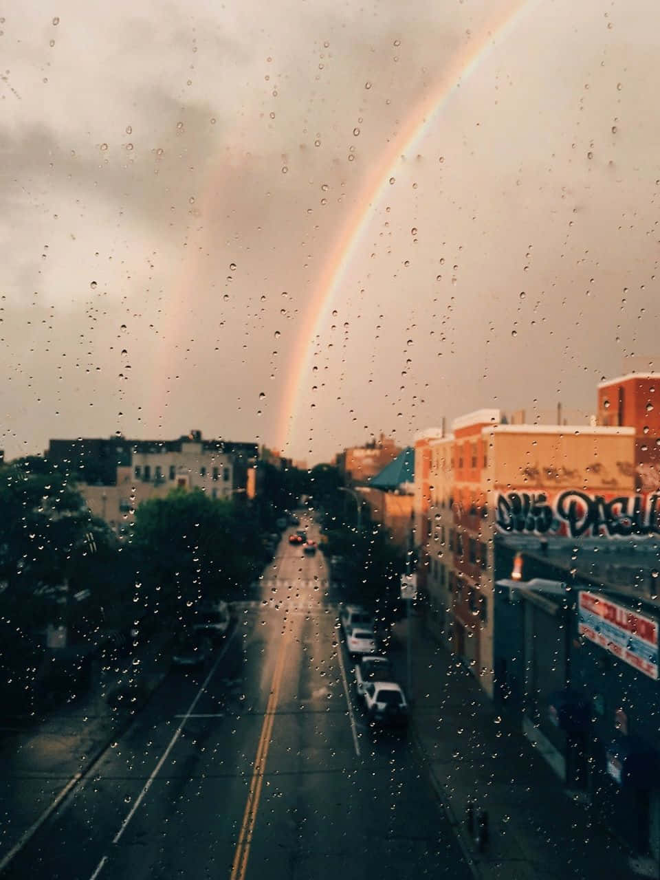 মোহনীয় রঙের বর্ণালী ওয়ালপেপার