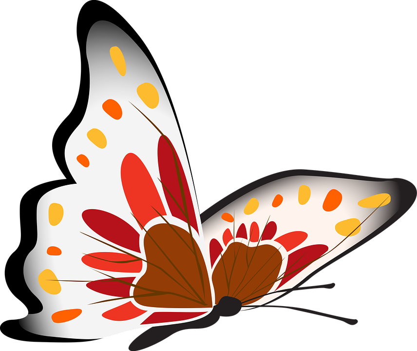 রঙিন প্রজাপতি চিত্র ওয়ালপেপার