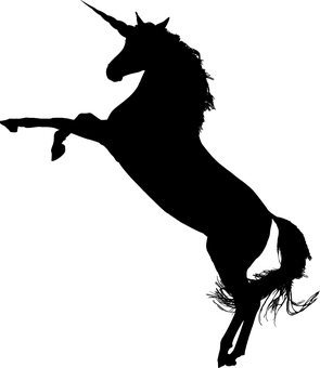রহস্যময় ইউনিকর্নের ছায়াচিত্র ওয়ালপেপার