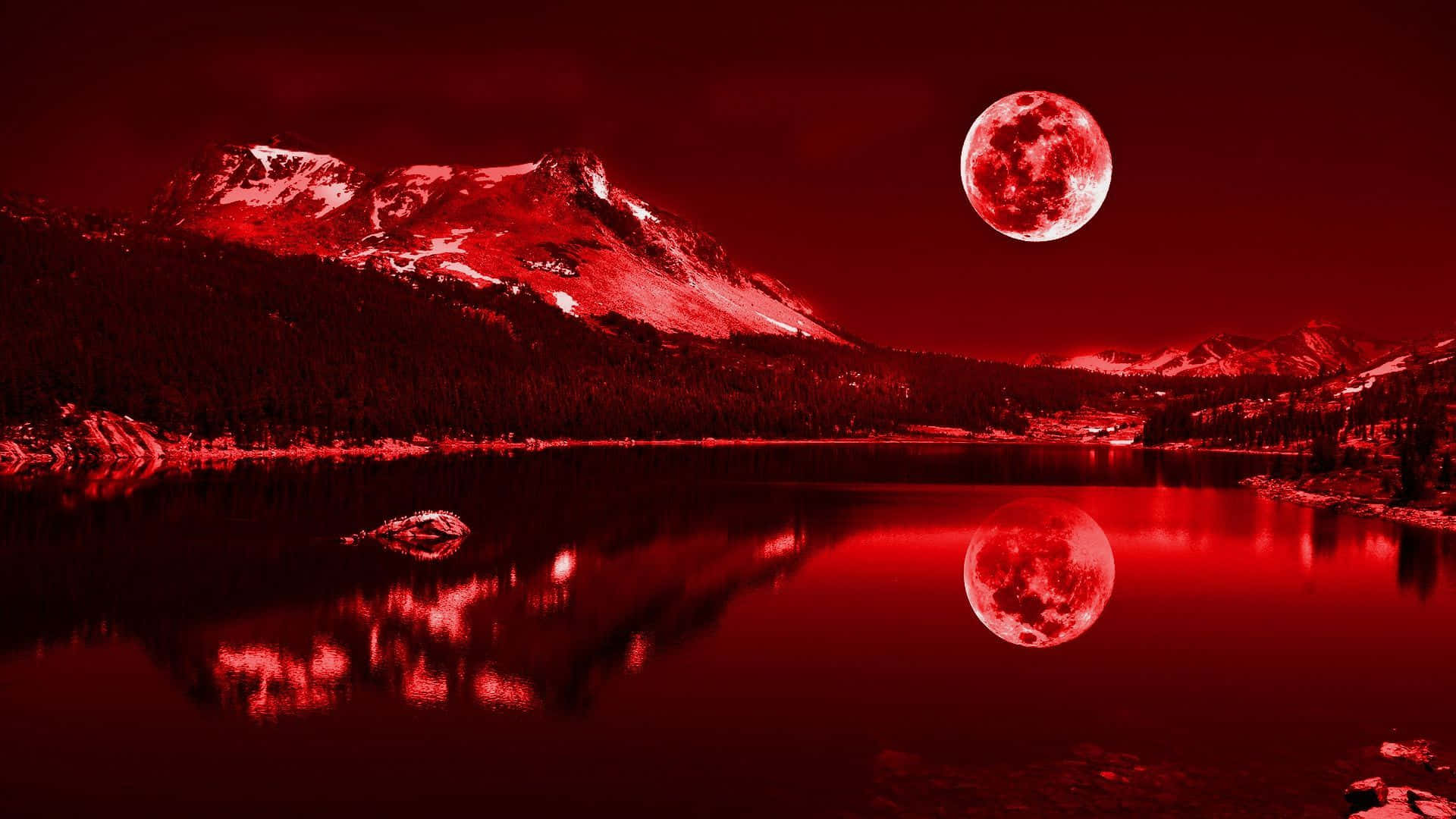 লাল 1920x1080 ওয়ালপেপার