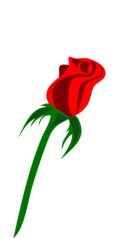 লাল গোলাপ কালো ব্যাকগ্রাউন্ড ওয়ালপেপার