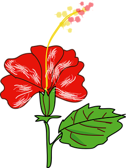 লাল হিবিস্কাস ভেক্টর ইলাস্ট্রেশন