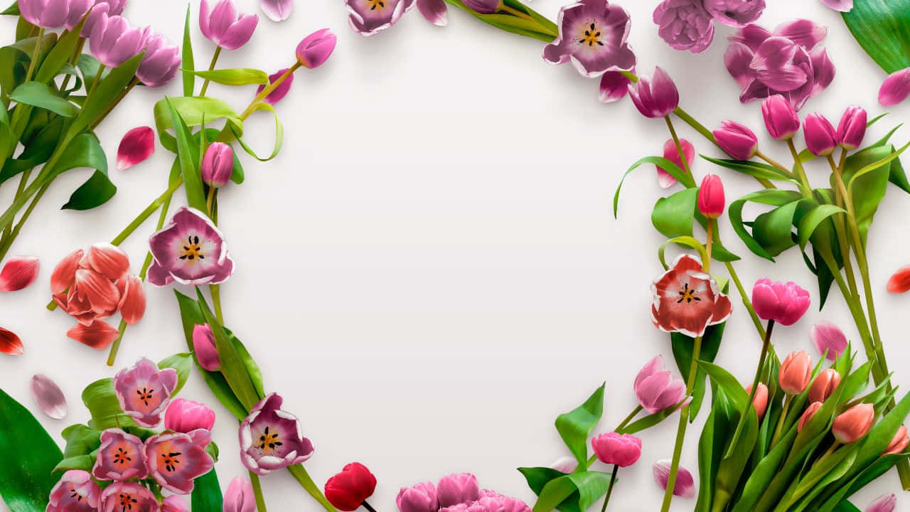 শান্ত হ্রদ প্রাকৃতিক দৃশ্য ওয়ালপেপার