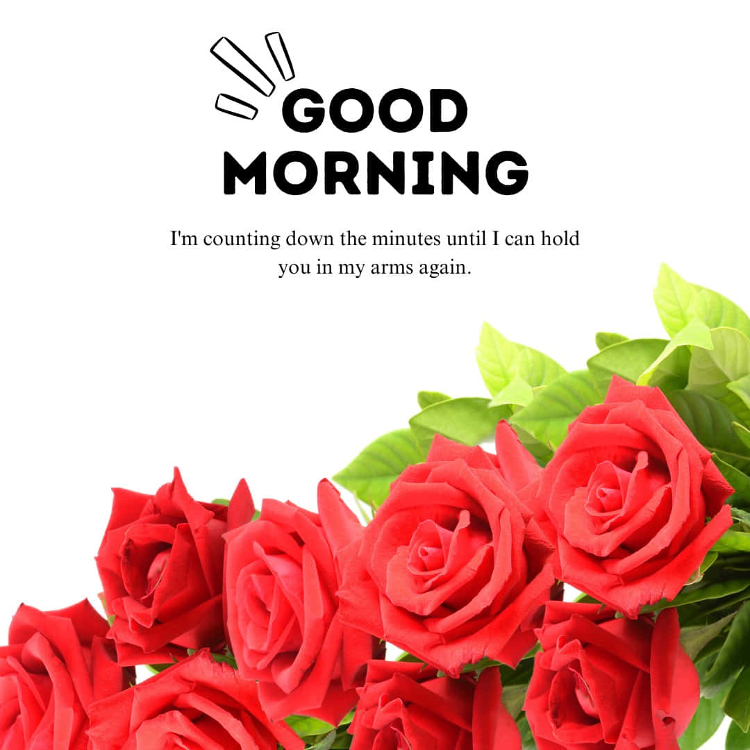 শুভ সকাল আমার ভালোবাসা কাউন্টডাউন বার্তা ওয়ালপেপার