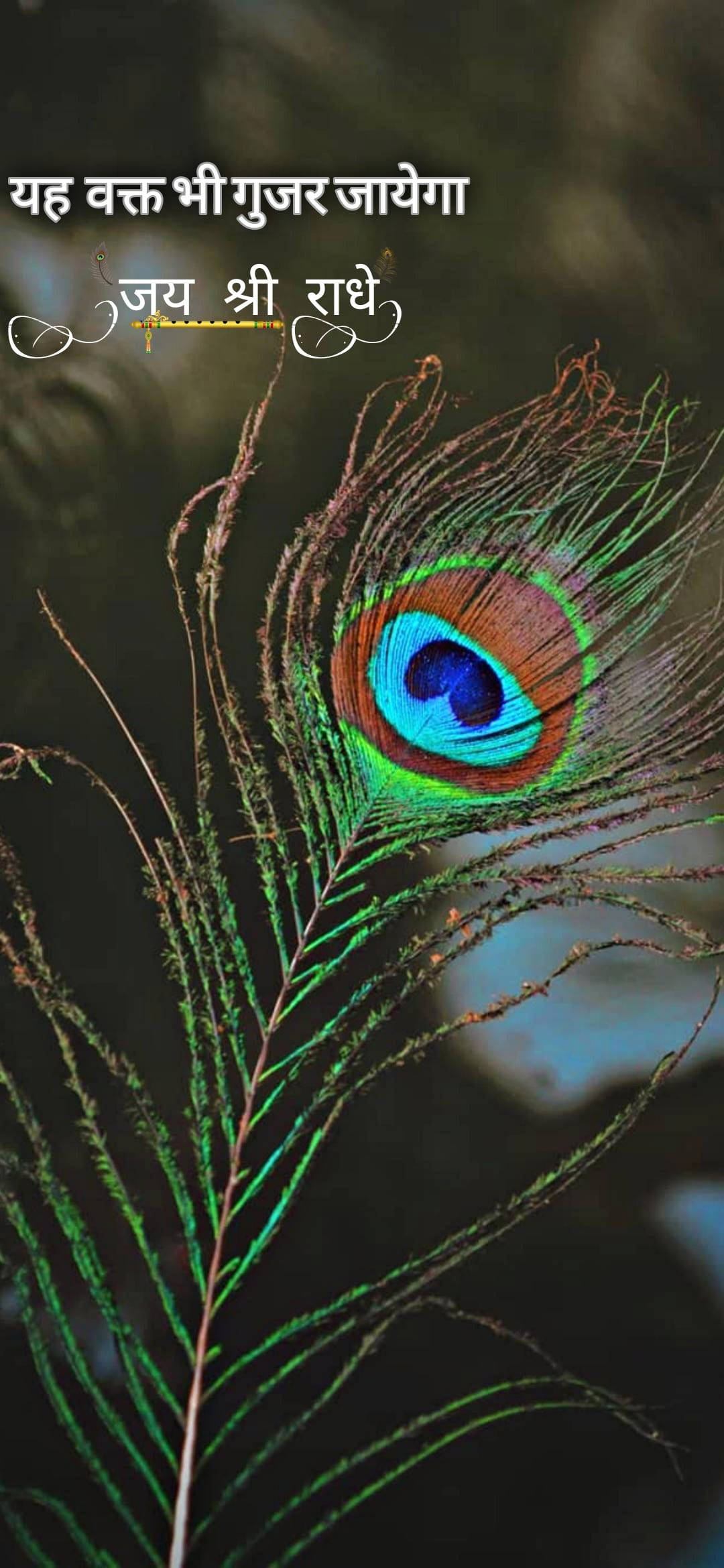 শ্রী রাম ময়ূরপুচ্ছ ওয়ালপেপার