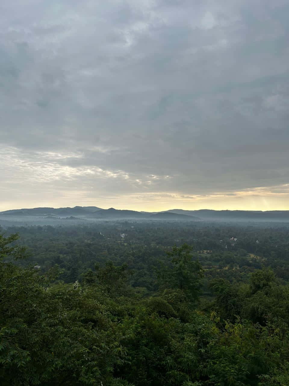 শ্রীমদ রাজচন্দ্র আশ্রমে সকাল ওয়ালপেপার