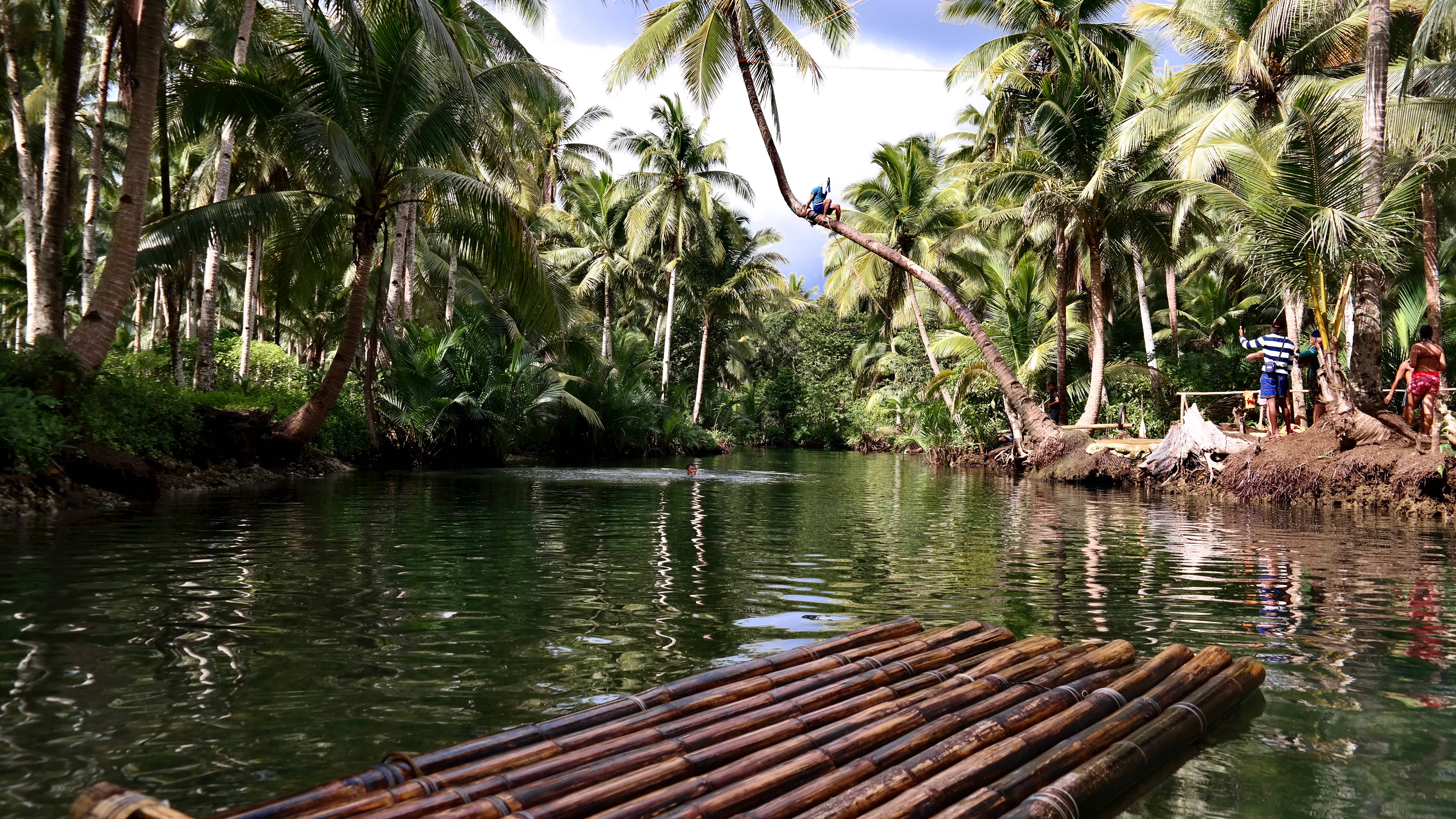 সিয়ারগাও দ্বীপের মাসিন নদীতে ভেলা ওয়ালপেপার