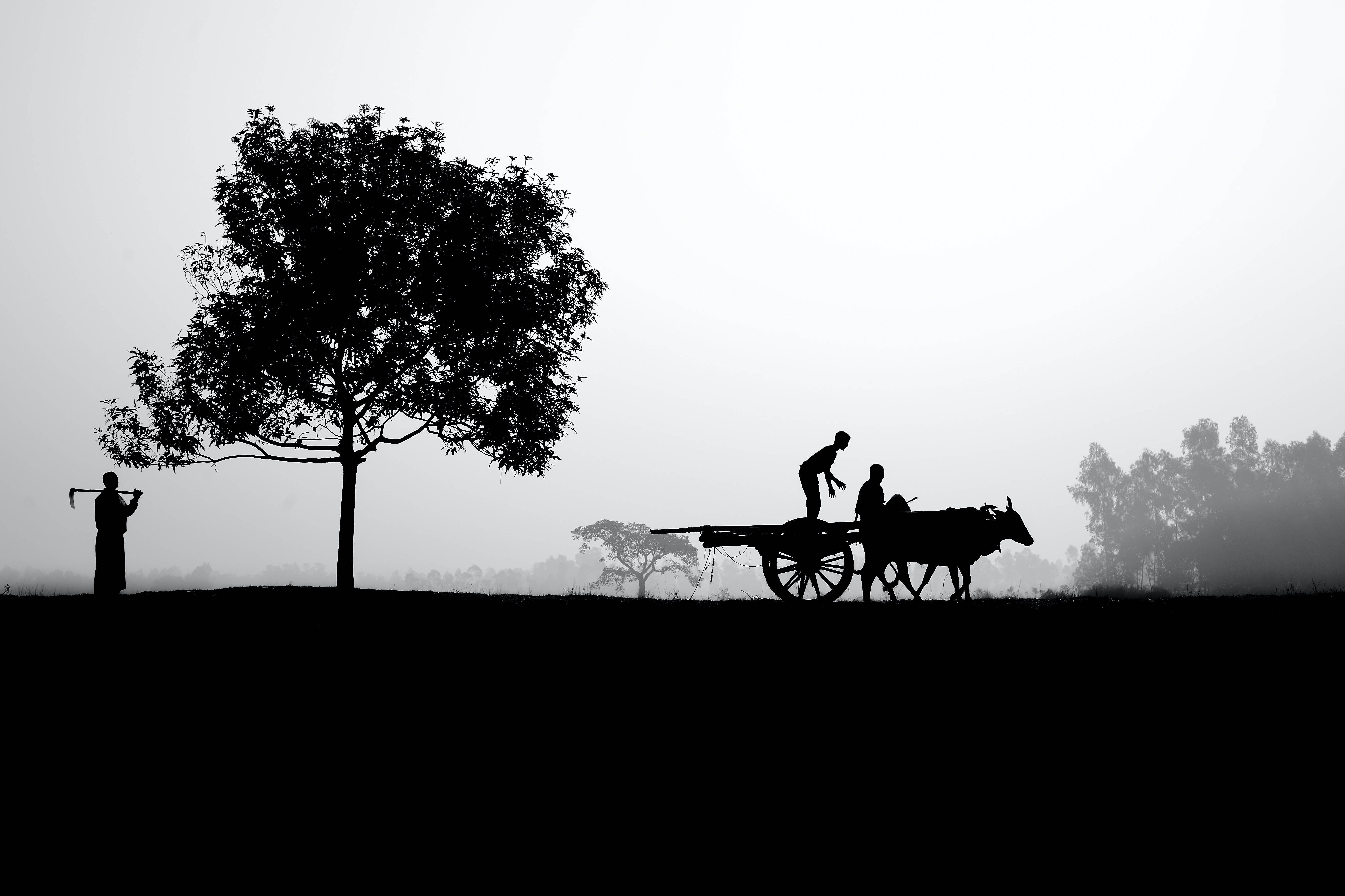 সিলুয়েট খামার জীবন ওয়ালপেপার