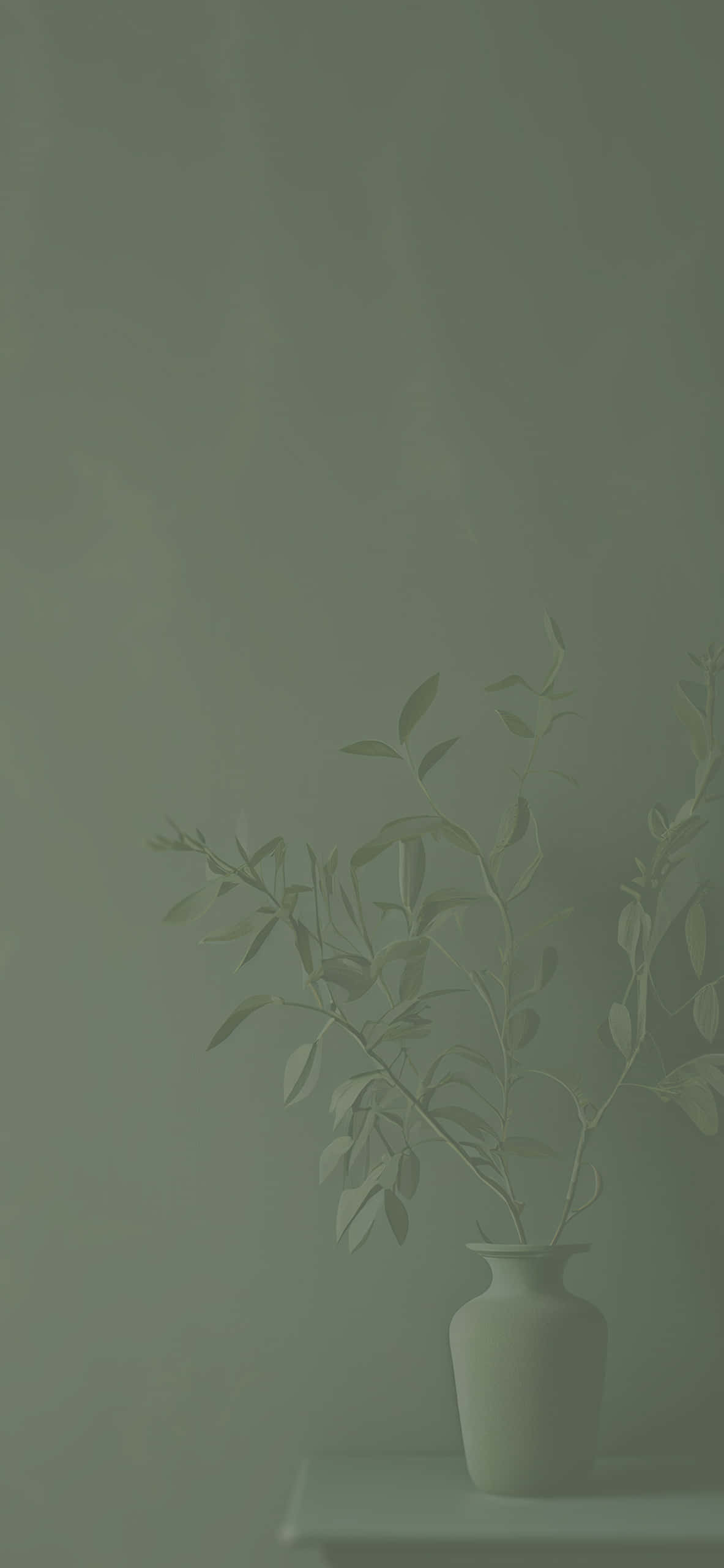 সেজ সবুজ পটভূমির মৃদু শান্তি ওয়ালপেপার
