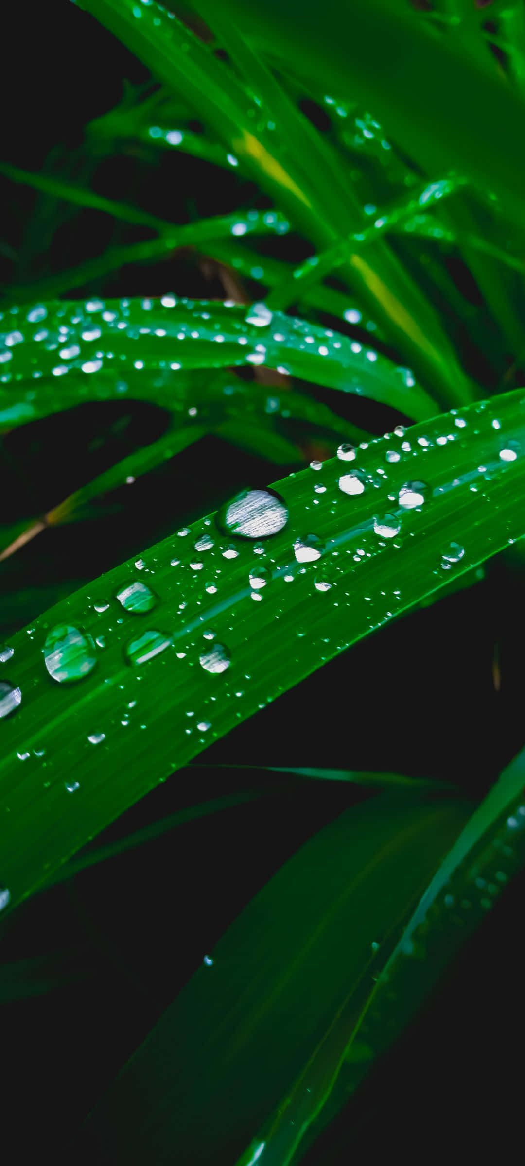 সৈকতে স্বাগতম ওয়ালপেপার