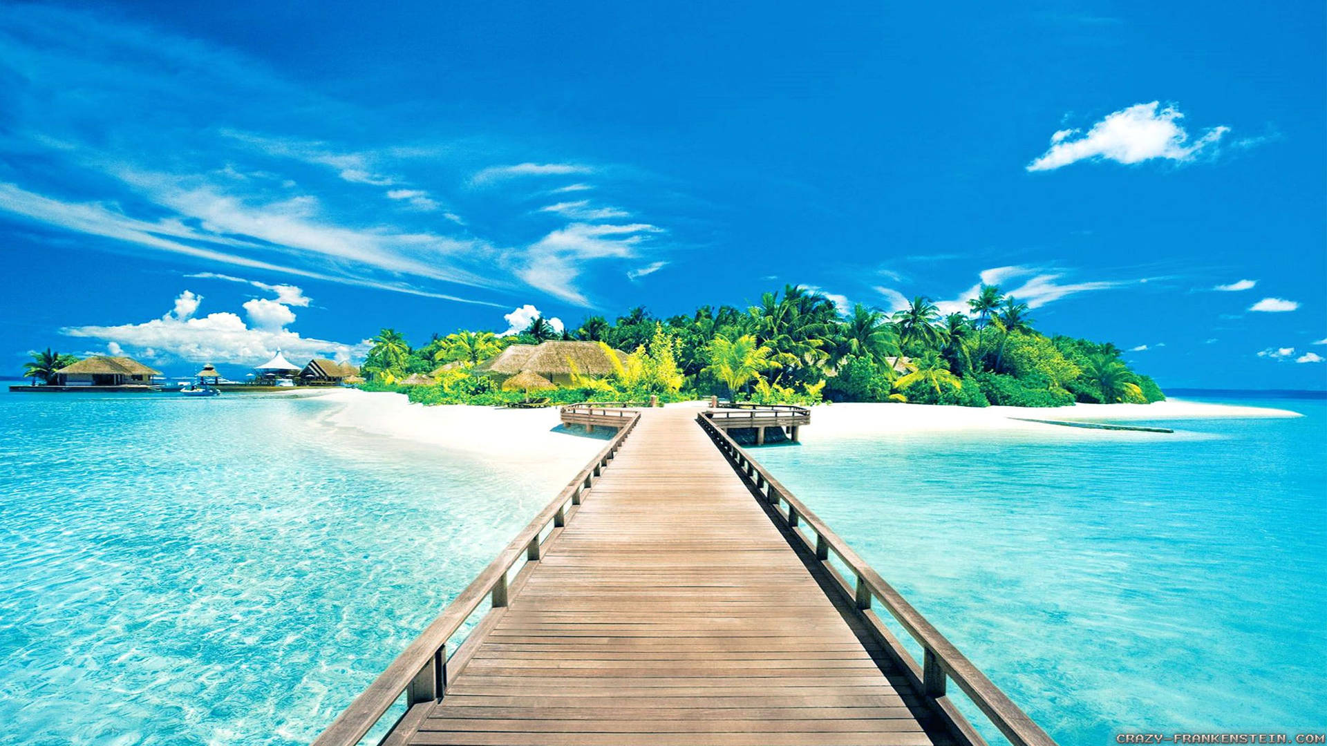 সেরা গ্রীষ্ম