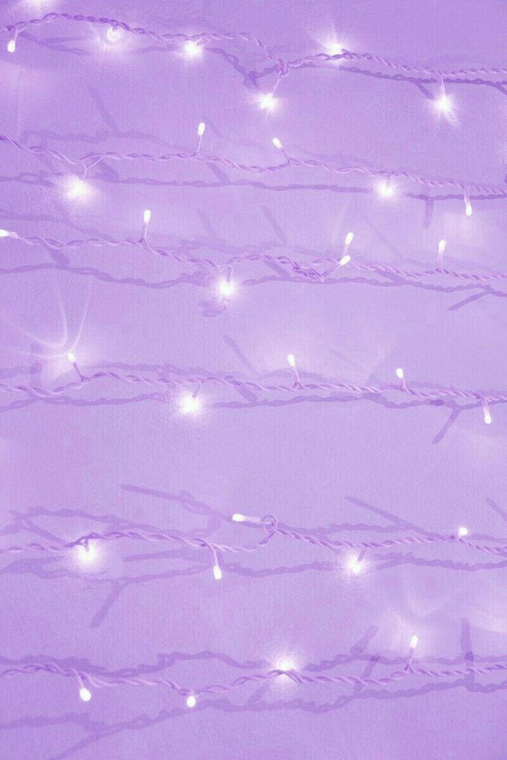 স্ট্রিং লাইট প্যাস্টেল পার্পল টাম্বলার ওয়ালপেপার