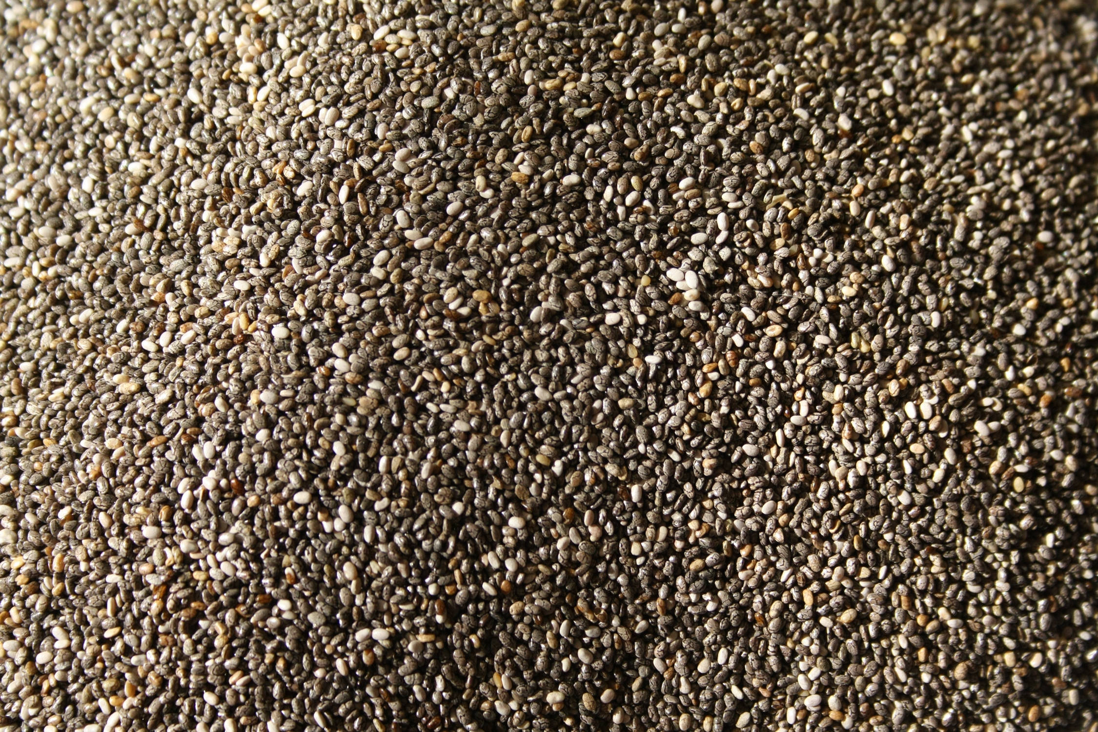 স্যান্ডের মতো চিয়া বীজ ওয়ালপেপার