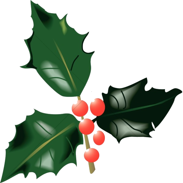 হলি বেরি ইলাস্ট্রেশন ওয়ালপেপার