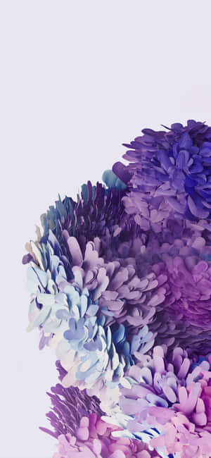 1080x2340 4K — ভিভো V70 FE ওয়ালপেপার