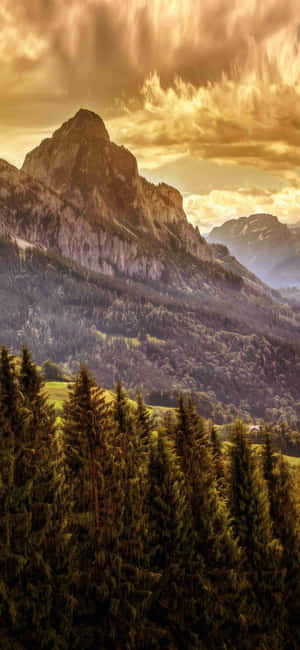 1080x2340 4k — ভিভো X500 Pro Max ওয়ালপেপার