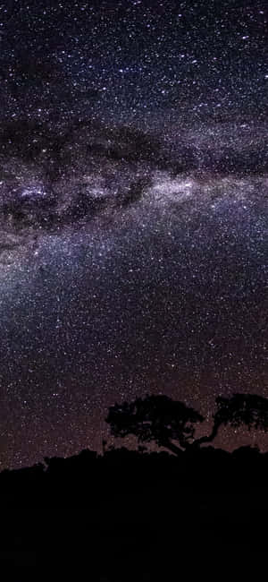 1080x2340 4k — ভিভো X500 Pro Max ওয়ালপেপার