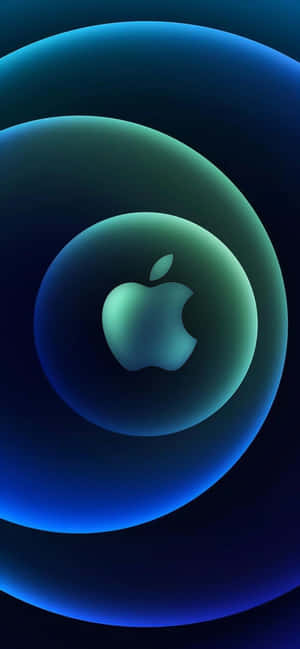 iPhone 13 Pro ব্যাকগ্রাউন্ড — এইচএমডি ওয়ালপেপার