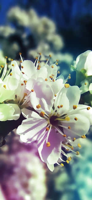 Pixel 3 বসন্ত ব্যাকগ্রাউন্ড — 1170x2532 ওয়ালপেপার