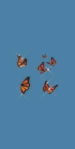 নান্দনিক iPhone ছবি — নান্দনিক আইফোন ওয়ালপেপার