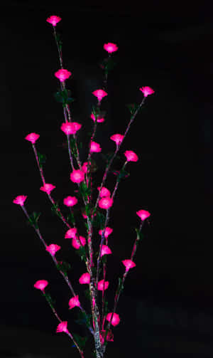 1080x1812 — ইনফিনিক্স এক্সপ্যাড ওয়ালপেপার