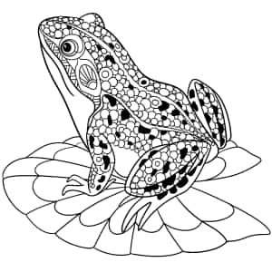 ব্যাঙ আঁকার ছবি — আইপ্যাড প্রো ওয়ালপেপার