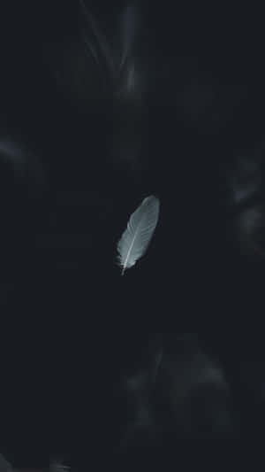 নান্দনিক সাদা-কালো ছবি