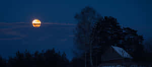 পূর্ণিমার চাঁদের ছবি