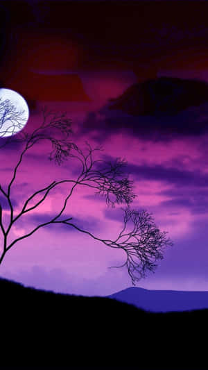 পূর্ণিমার চাঁদের ছবি
