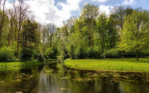গ্রীষ্মকালীন প্রকৃতির ওয়ালপেপার।