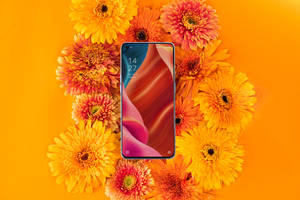ওপ্পো স্মার্টফোন ও ফুলের সমারোহ