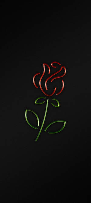 কালো আইফোন গোলাপ ওয়ালপেপার — 1440x3200 ওয়ালপেপার