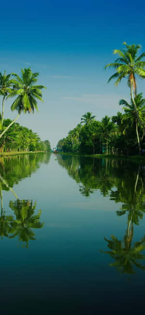 প্রাকৃতিক ব্যাকগ্রাউন্ড — আইফোন ১৪ ওয়ালপেপার