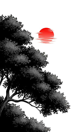 কালি, গাছ, সূর্য, ন্যূনতম — 1440x2560 ওয়ালপেপার