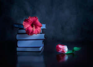 গাঢ় ফুলের সৌন্দর্য — গা dark ো ফুল ওয়ালপেপার