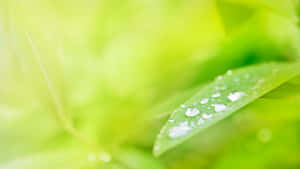 5120x2880 — 5120x2880 ওয়ালপেপার
